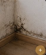 Humidité cachée et moisissures